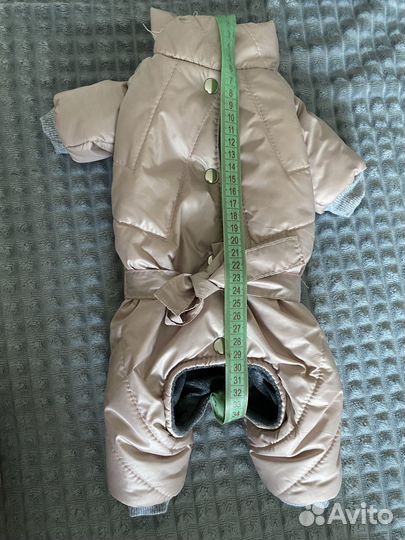 Одежда для собак