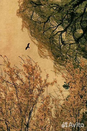 Винтажные y2k образы casual