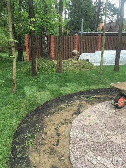 Продажа рулонного газона