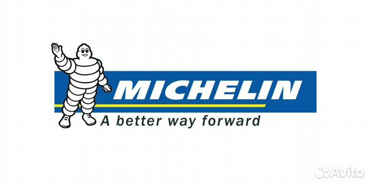 Michelin fmmt07109 Ролик приводного ремня
