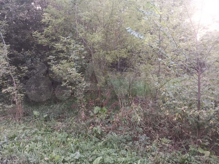 Участок 49 сот. (ИЖС)