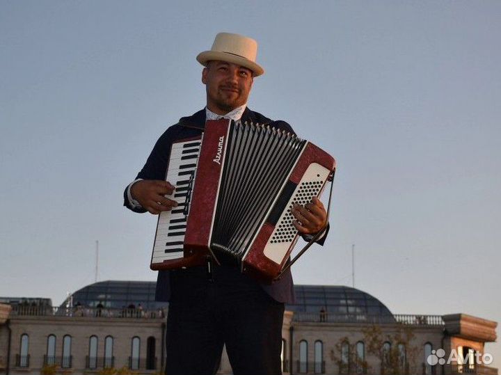 Баянист, Аккордеонист,гармонист