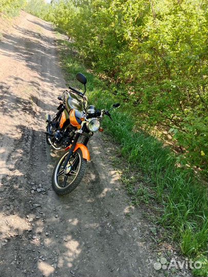 Alpha raser gs 110