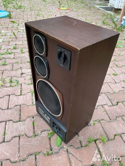 Акустические колонки Вега S- 90 Radiotehnika