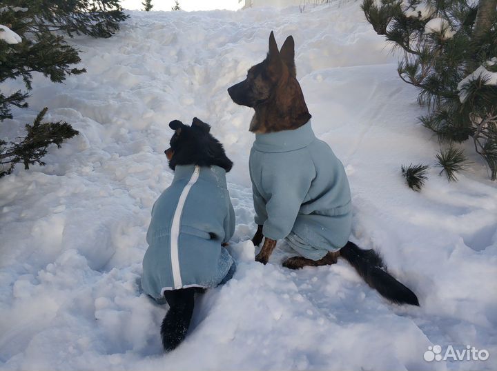 Одежда для животных на заказ