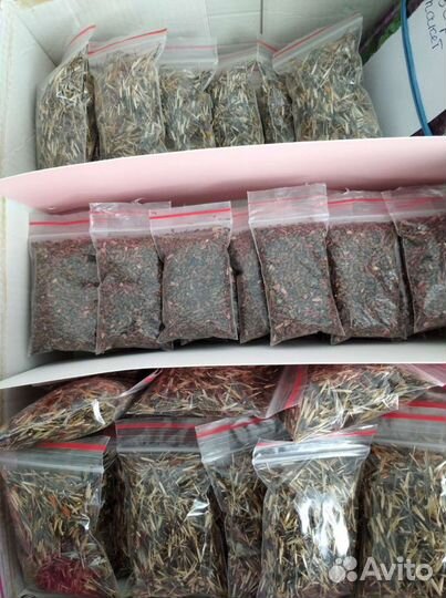 Семена сальвии и др