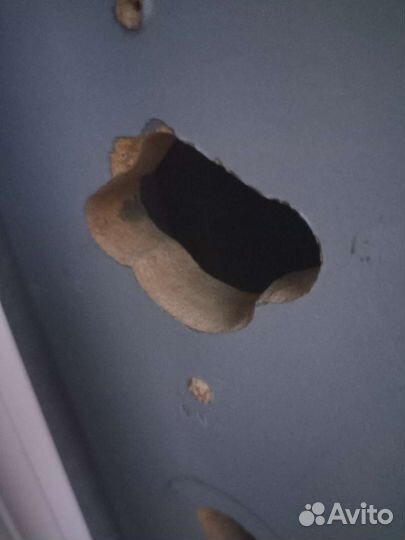 Дверное полотно