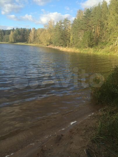 Участок 38 сот. (ИЖС)