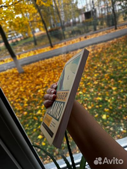 Альбер камю посторонний