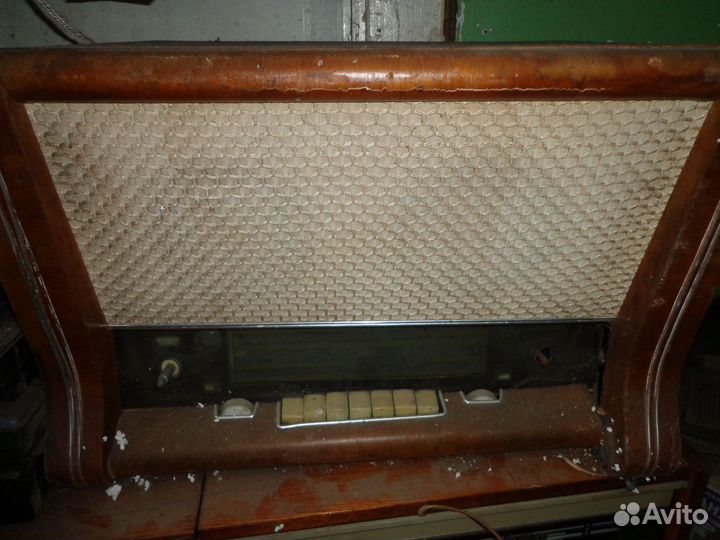 Родиола ламповая ретро СССР 60-70г