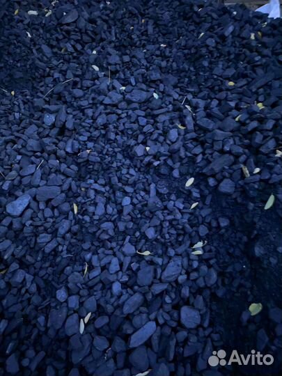 Сспк уголь для вашего дома