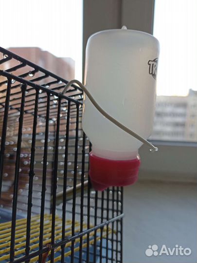 Клетка для грызунов