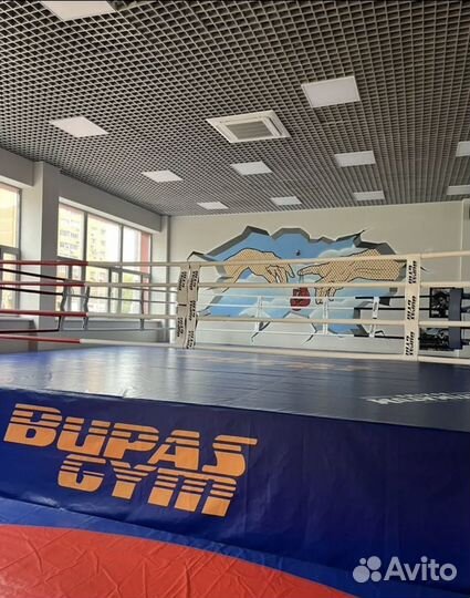 Персональный тренер по боксу