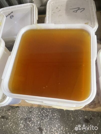 Цветочный мёд оптом Качка 2023 г. Опт