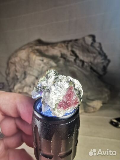 Турмалин арбузный 13гр. Кристалл