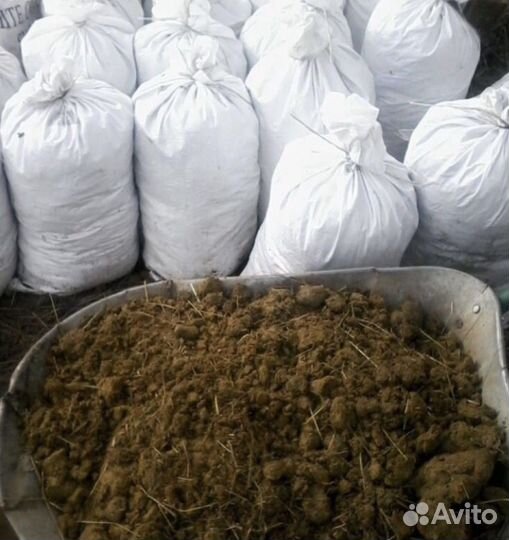 Конский навоз