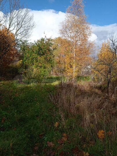 Участок 24 сот. (ИЖС)