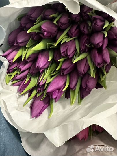 Продажа тюльпанов