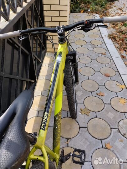 Stinger python std 2022