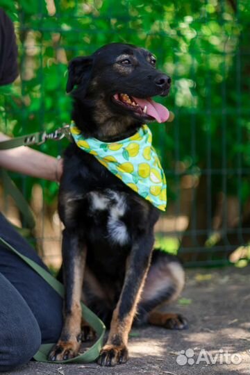 Спасите пока не стало поздно