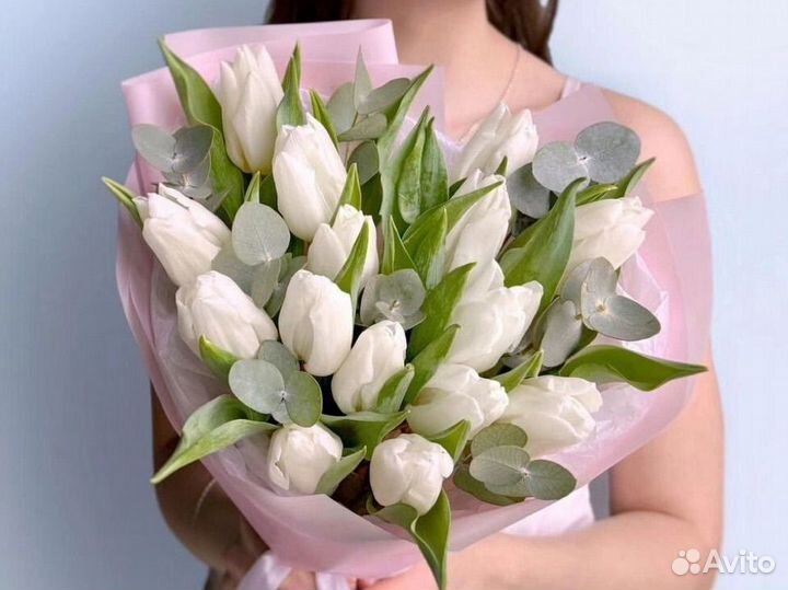 Тюльпаны Крупные премиум не местные Голландия