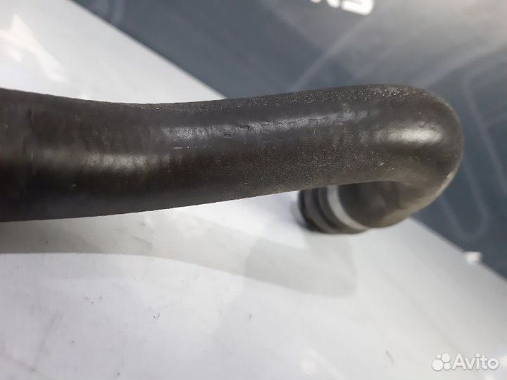 Шланг радиатора Bmw X5 E53 M54B30 2005