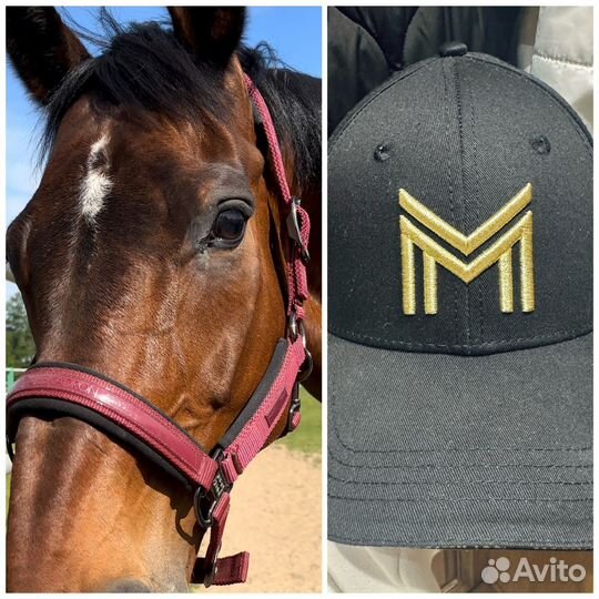 Амуниция для лошади