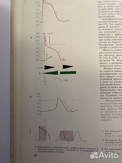 М.С. Кушаковский аритмии и блокады сердца атлас
