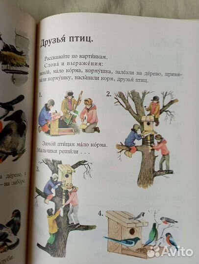 Русская речь в картинках