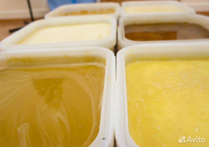 2024 Мёд натуральный с Алтая опт