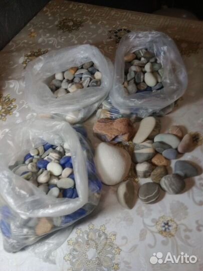 Камемешки для аквариума