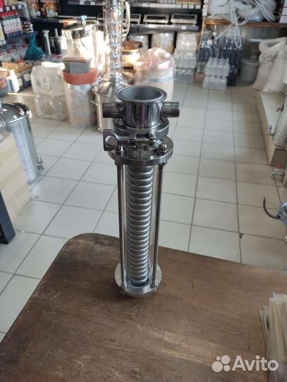 Димрот в стеклянной царге 2