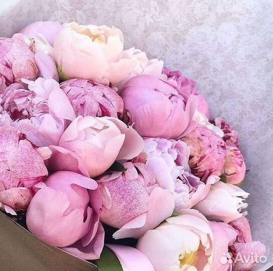 Пионы Букеты Цветы Доставка