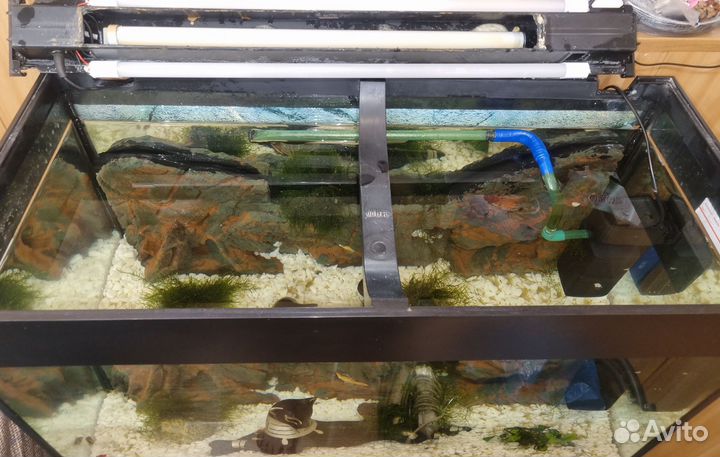 Аквариум с тумбой juwel