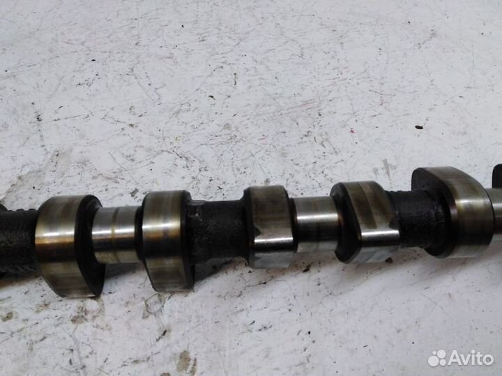 Распредвал выпускной Ауди