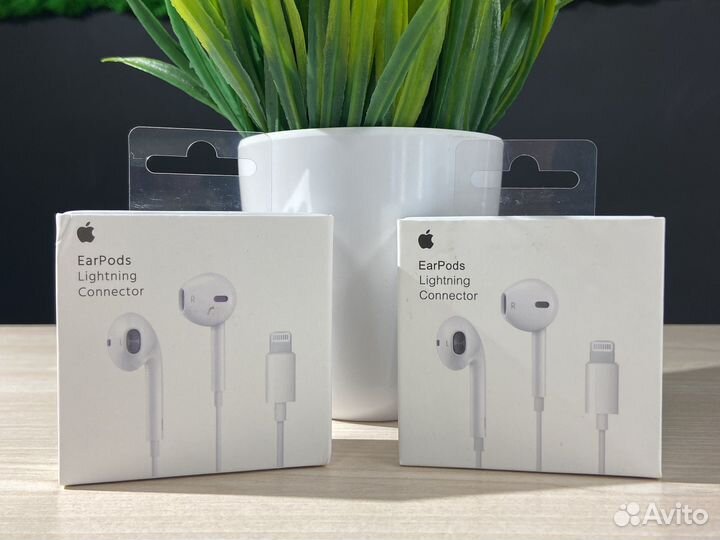 Наушники проводные EarPods для iPhone 14 Prо