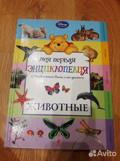 Энциклопедия Животные