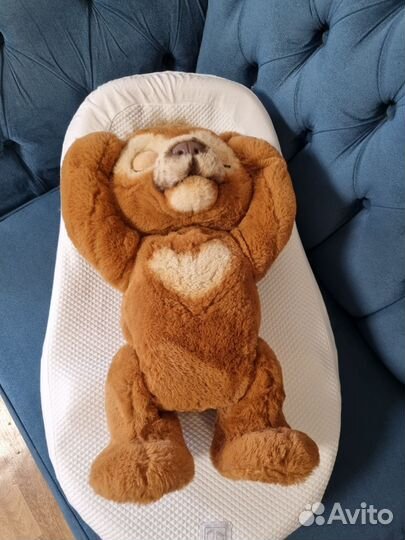 Кокон red castle