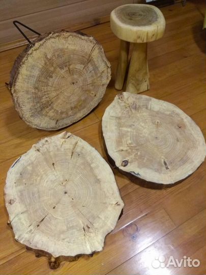 Спилы дерева