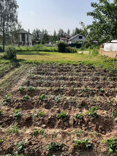 Участок 9 сот. (ИЖС)