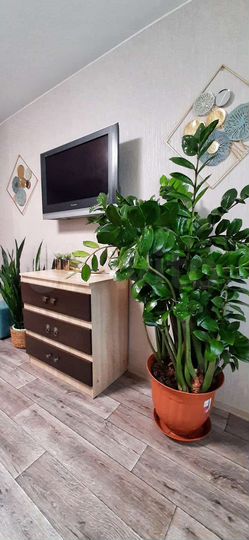 1-к. квартира, 34 м², 5/9 эт.