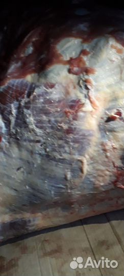 Мясо говядина