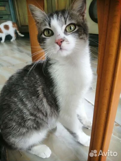 Малышке после травмы очень нужен дом