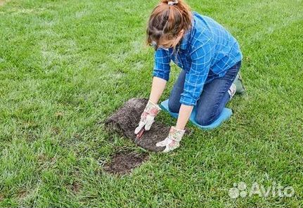 Газон от производителя
