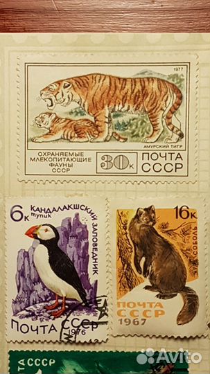 Марки СССР редкие