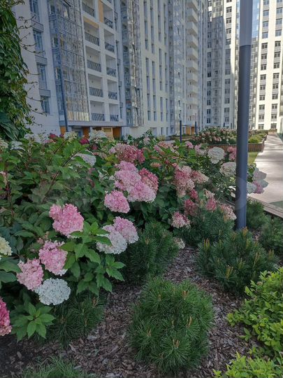 4-к. квартира, 87,5 м², 7/23 эт.