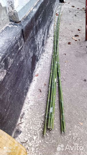 Бамбуковая удочка