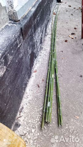 Бамбуковая удочка