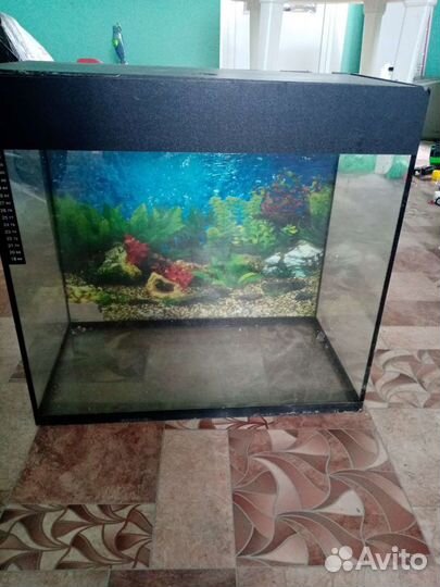 Аквариум