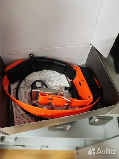 GPS Garmin Alpha 50 с ошейником T20